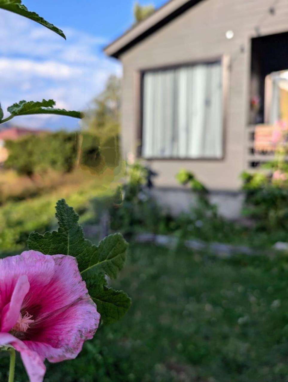Cottage Kazbegi Sioni Exterior foto